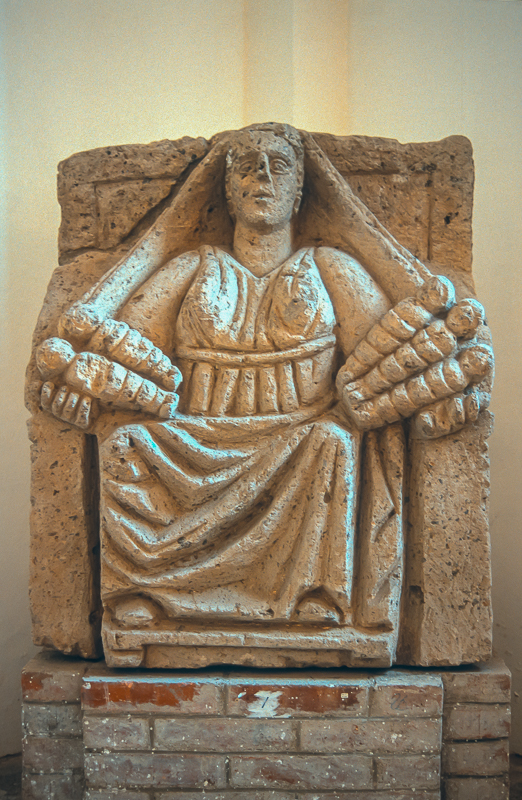 mater-capua